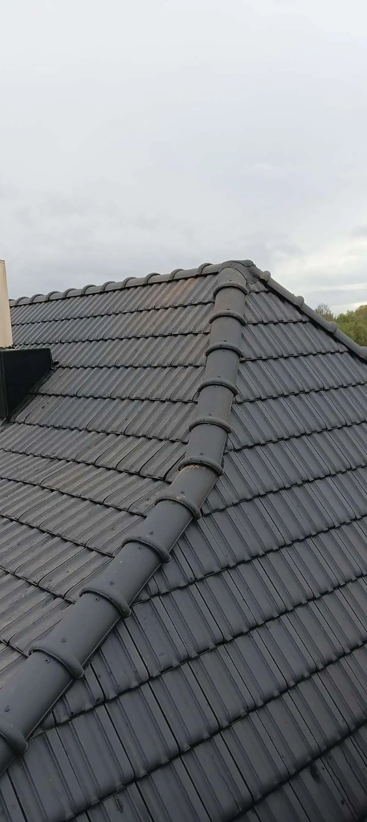 Dakpannen renovatie